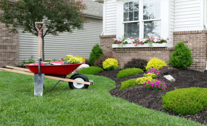 Discover the Best Landscaping Services in Sevierville, TN 000