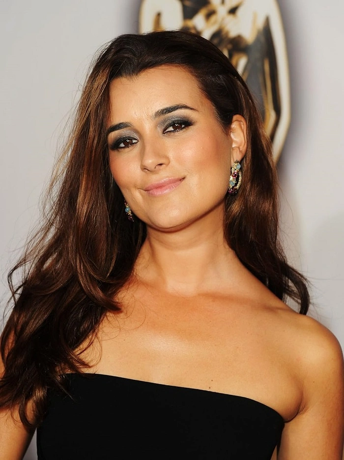 cote de pablo net worth 2