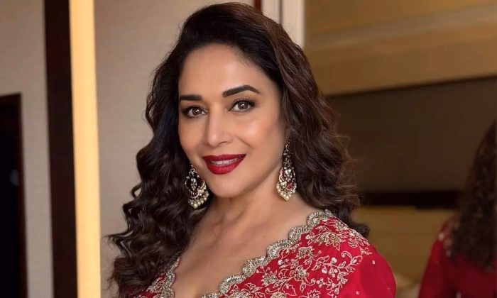Highlights of Madhuri Dixit Career