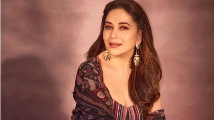 Madhuri Dixit Income Streams