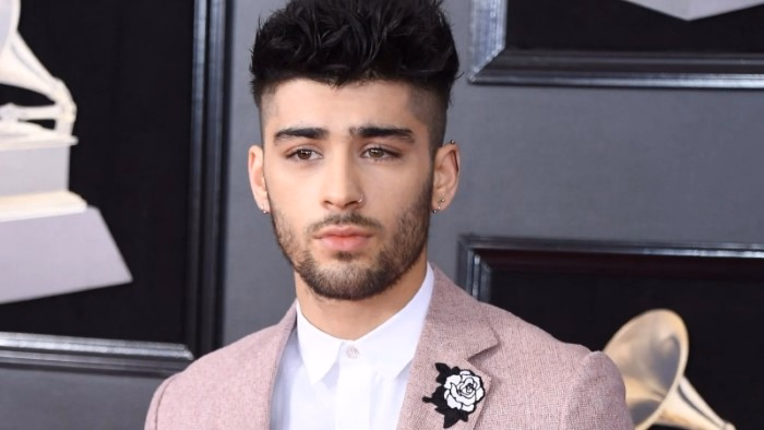Zayn Malik Bio Wiki