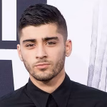 zayn malik net worth